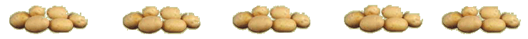 Bild Kartoffeln